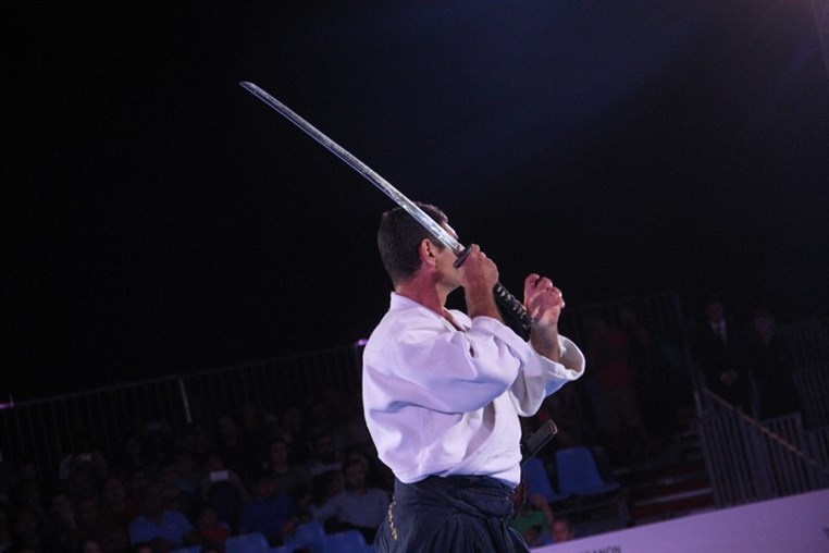 Martial Arts Festival
